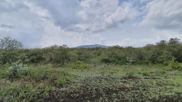 Naivasha 5 and 10acres Within Developed Impala Estate