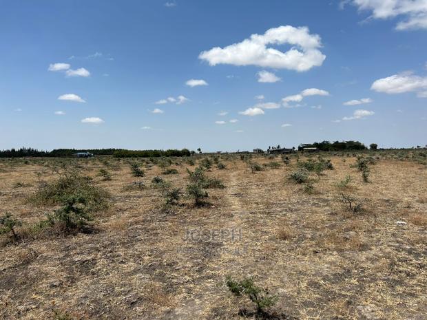 Tuala Rangua 6-Acres