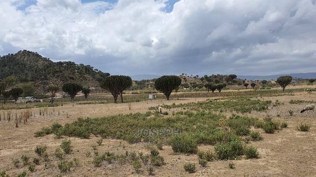 Naivasha Moi Ndabi Sero 22.9acres,Eletric Fenced