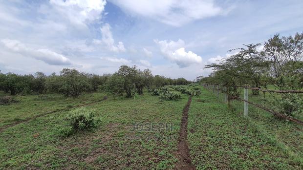 Naivasha 5 and 10acres Within Developed Impala Estate