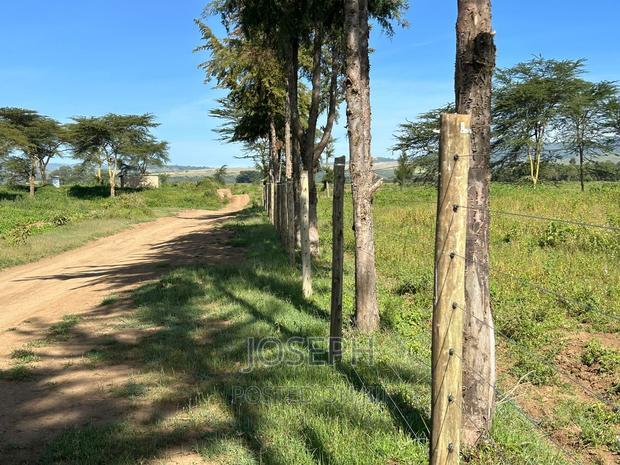 Moi Ndabibi 50 Acre