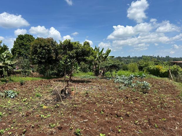 Banana Hill 1.4acre River Frontage