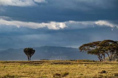Prime Lake Frontage Conservancy Ranch Naivasha