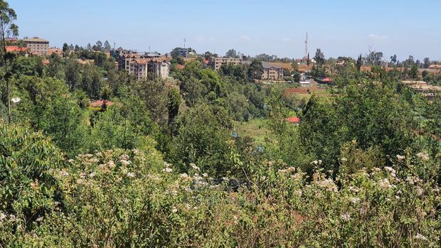 Kikuyu 2.5acres to Develop