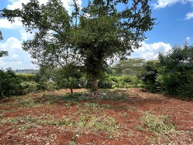 Serviced 1/4 Acre for Sale