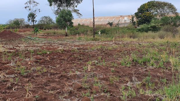 Thika Westwood Meadows(Karangaita) 1/2 Acre Plot
