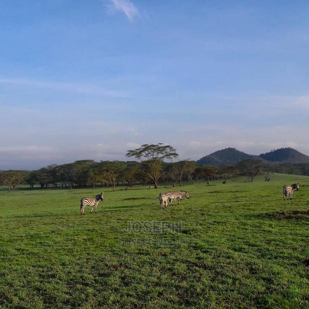 Prime Lake Frontage Conservancy Ranch Naivasha