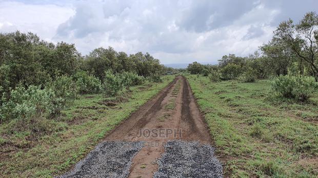 Naivasha 5 and 10acres Within Developed Impala Estate