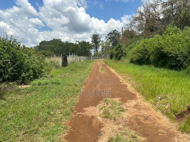 Serviced 1/4 Acre for Sale