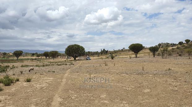 Naivasha Moi Ndabi Sero 22.9acres,Eletric Fenced