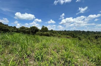 Banana Hill 1.4acre River Frontage