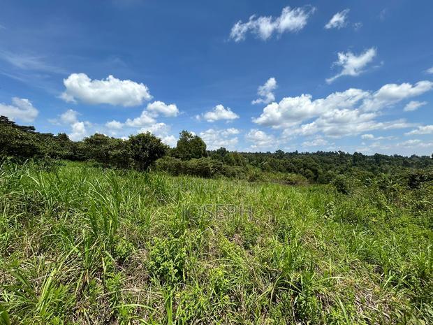 Banana Hill 1.4acre River Frontage