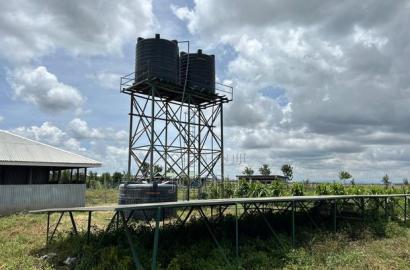 Kisaju 10acres Farm With Borehole