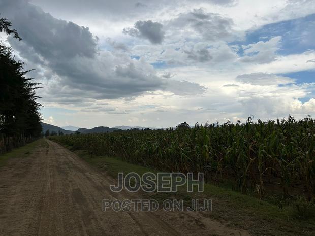 Naivasha Ndabibi Prime and Fertile 50-Acres
