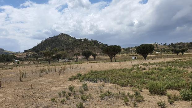 Naivasha Moi Ndabi Sero 22.9acres,Eletric Fenced