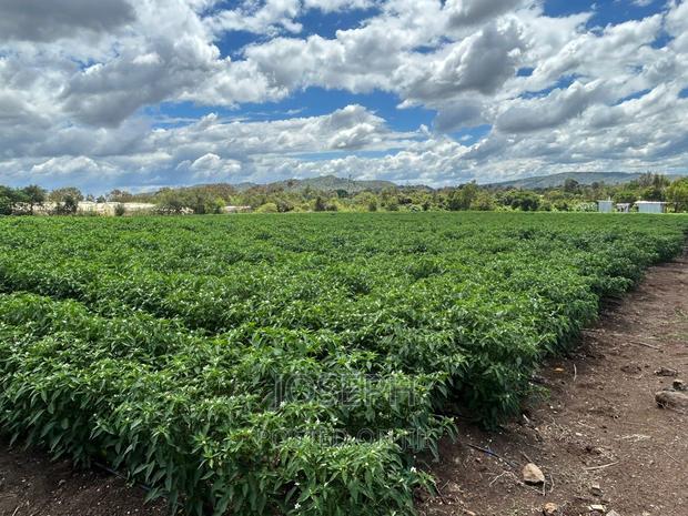 Sagana 7acres River Frontage Farm