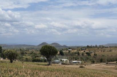 Naivasha Moi Ndabi Sero 22.9acres,Eletric Fenced