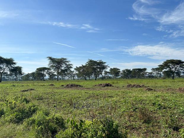 Moi Ndabibi 50 Acre