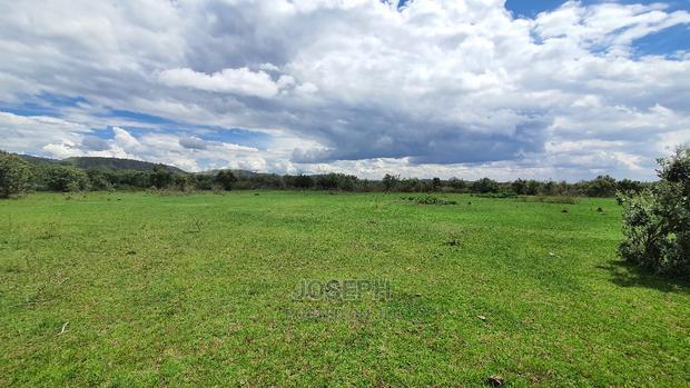 Charming Block of 112 Acres Naivasha Kedong