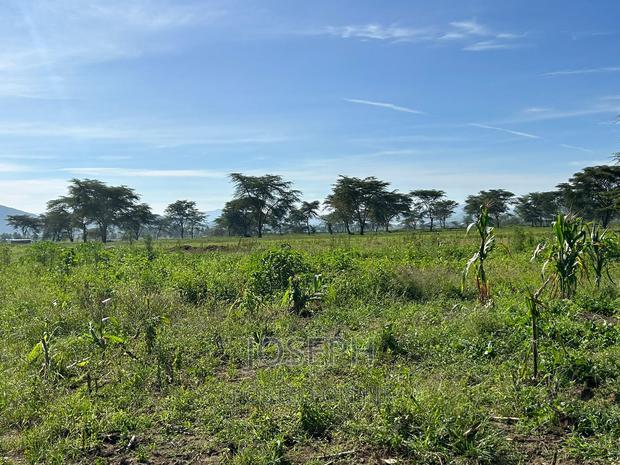 Moi Ndabibi 50 Acre