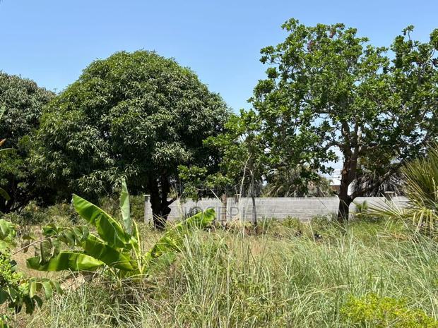 Diani 6.5acres