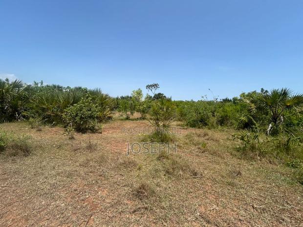 Diani 6.5acres