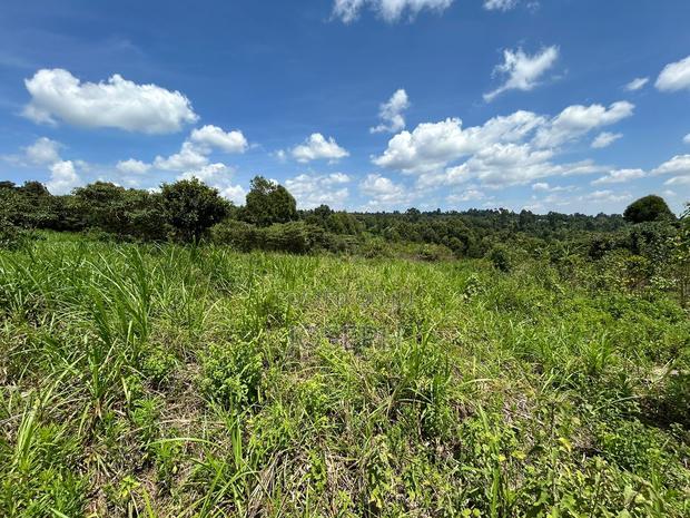 Banana Hill 1.4acre River Frontage