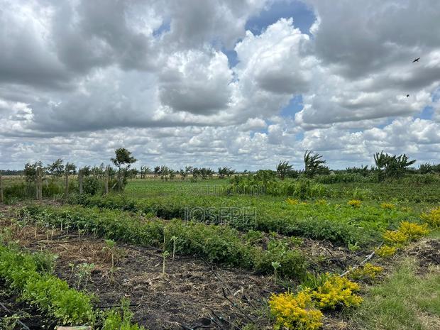 Kisaju 10acres Farm With Borehole