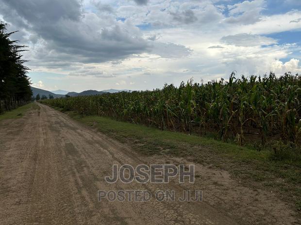 Naivasha Ndabibi Prime and Fertile 50-Acres