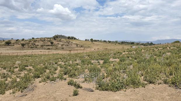 Naivasha Moi Ndabi Sero 22.9acres,Eletric Fenced