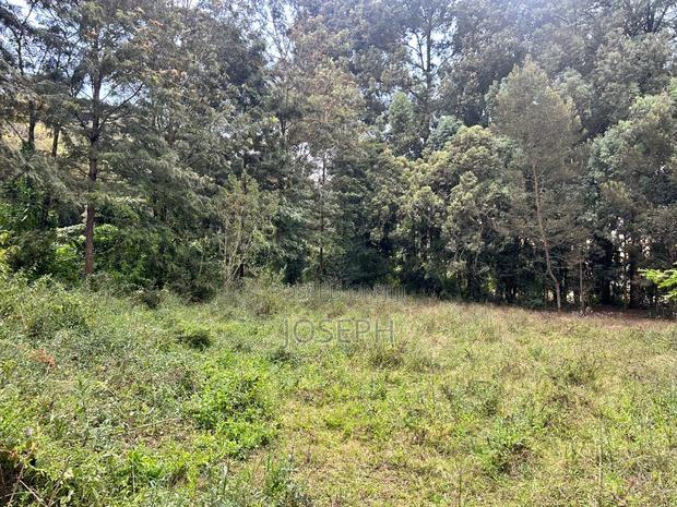 Karen- Dagorreti Road 3/4acres to Let