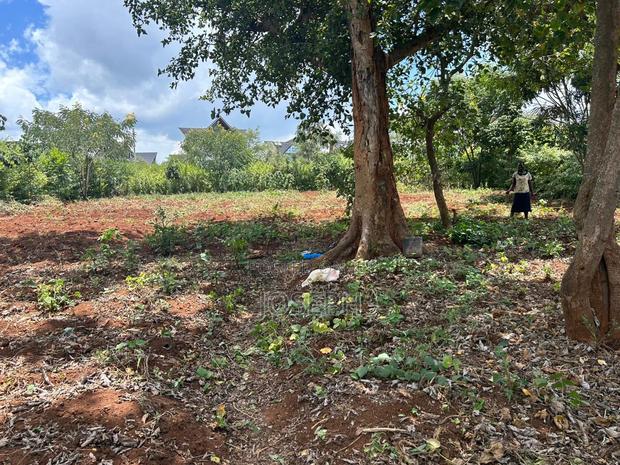 Serviced 1/4 Acre for Sale