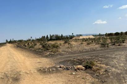Tuala Rangua 6-Acres