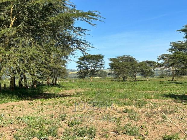 Moi Ndabibi 50 Acre