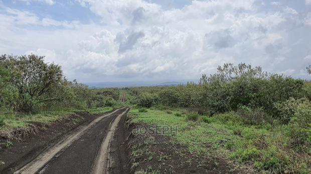 Naivasha 5 and 10acres Within Developed Impala Estate