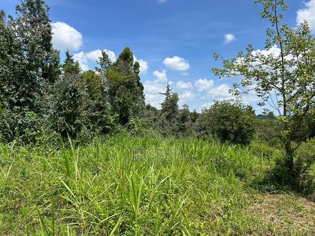 Banana Hill 1.4acre River Frontage