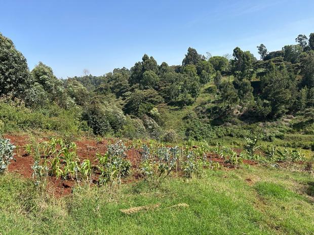 2.5 Acres Residential/ Commercial Property