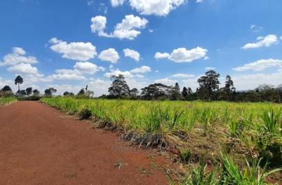 Redhill 1/4acres Serviced Controlled Plots