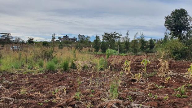 Thika Westwood Meadows(Karangaita) 1/2 Acre Plot