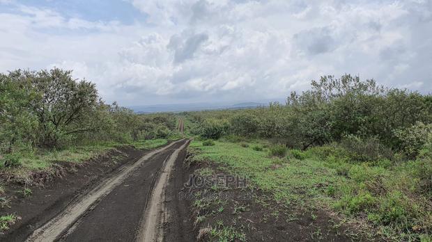 Naivasha 5 and 10acres Within Developed Impala Estate