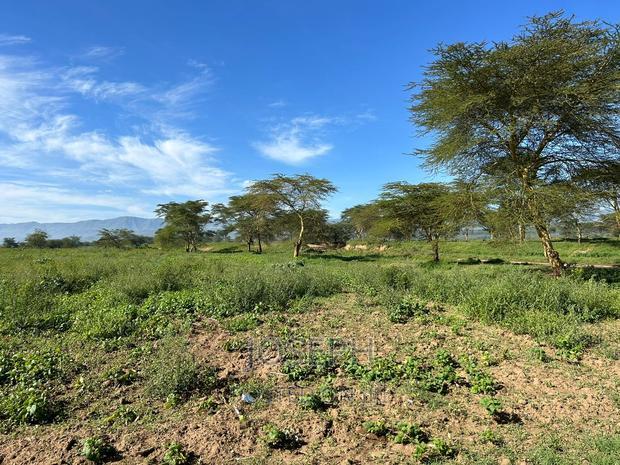 Moi Ndabibi 50 Acre