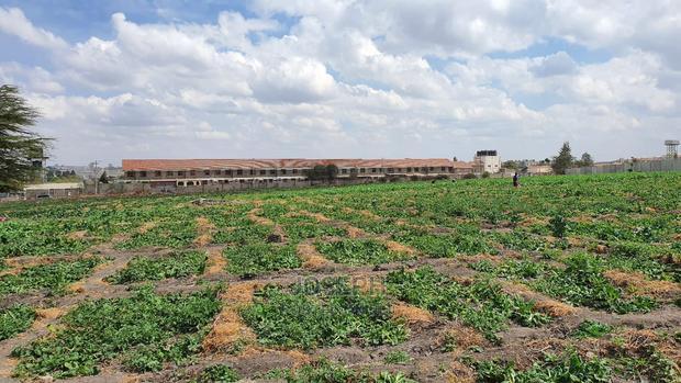 Athi River 10acre Near Graceland River Park Estates