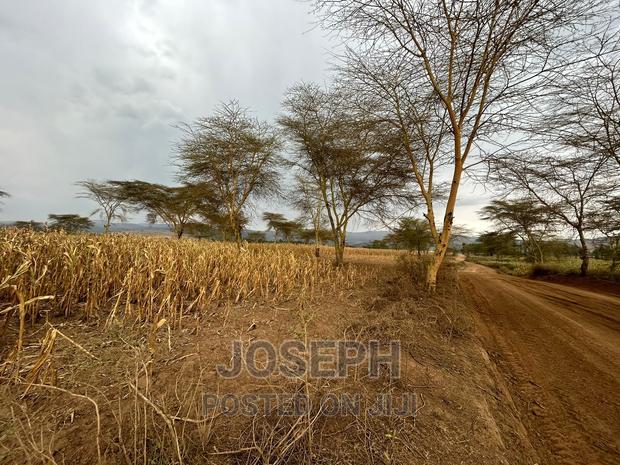 Naivasha Ndabibi Prime and Fertile 50-Acres
