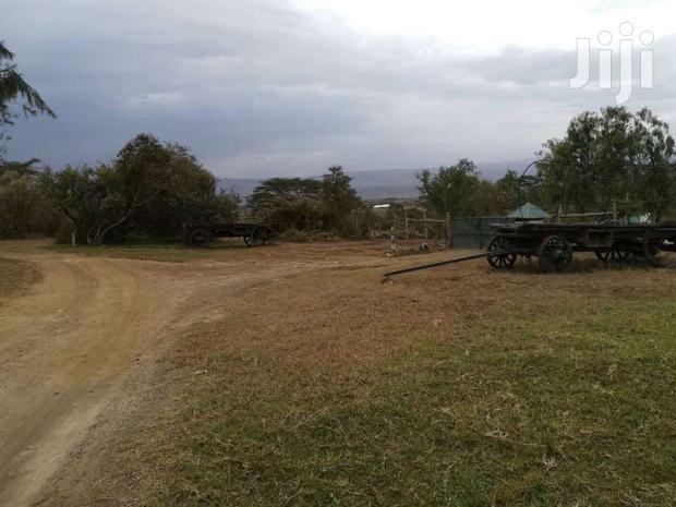Naivasha (Crater Lake) 21.1 Acres Fronting Lake