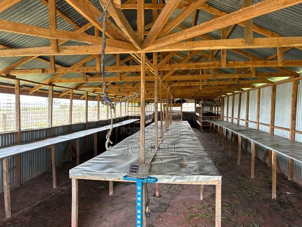 Kisaju 10acres Farm With Borehole