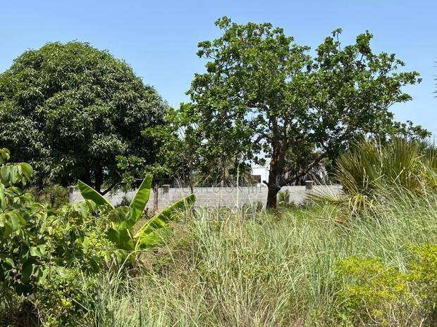 Diani 6.5acres