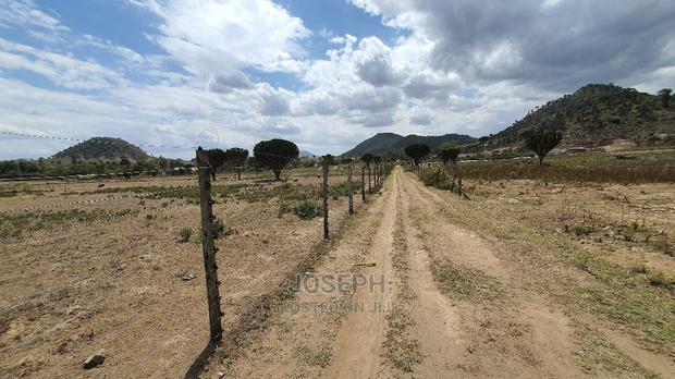 Naivasha Moi Ndabi Sero 22.9acres,Eletric Fenced