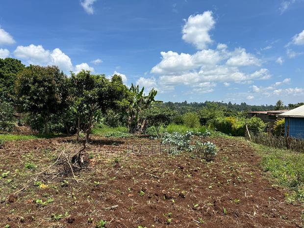 Banana Hill 1.4acre River Frontage