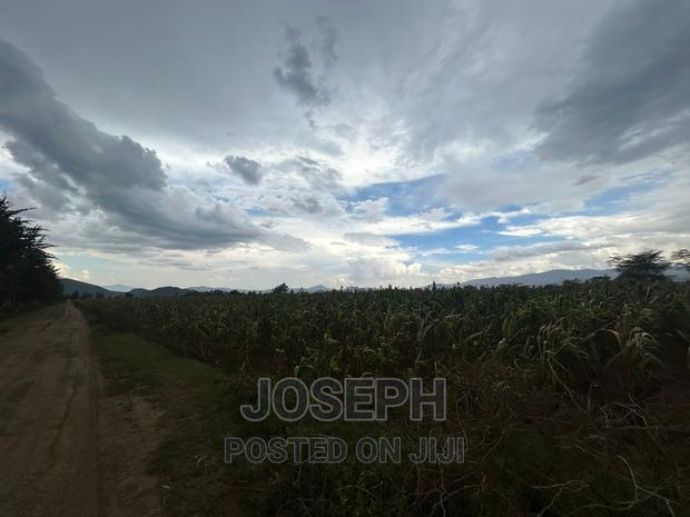 Naivasha Ndabibi Prime and Fertile 50-Acres