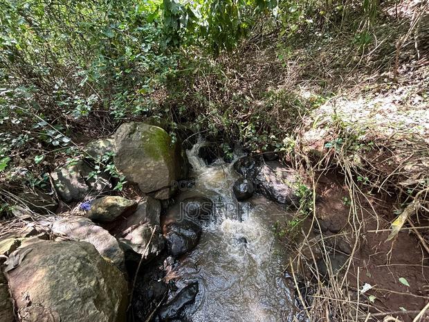 Banana Hill 1.4acre River Frontage